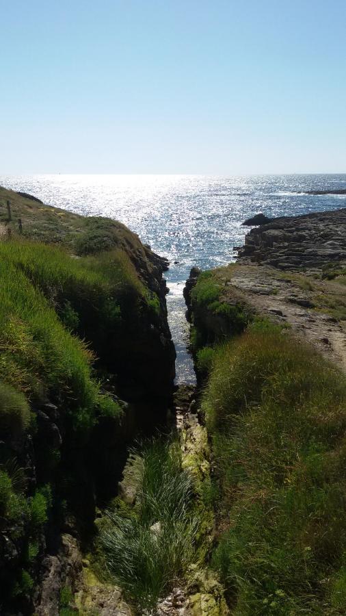 Ty Avel Studios 110 Et 111 Quiberon Ngoại thất bức ảnh